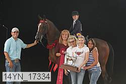 14yn_17334 proof