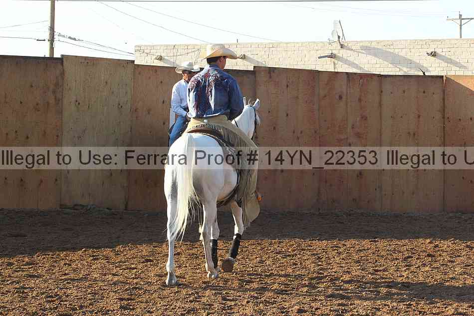 Proof 14yn_22353