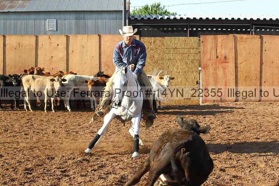 Proof 14yn_22355
