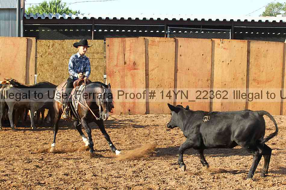 Proof 14yn_22362