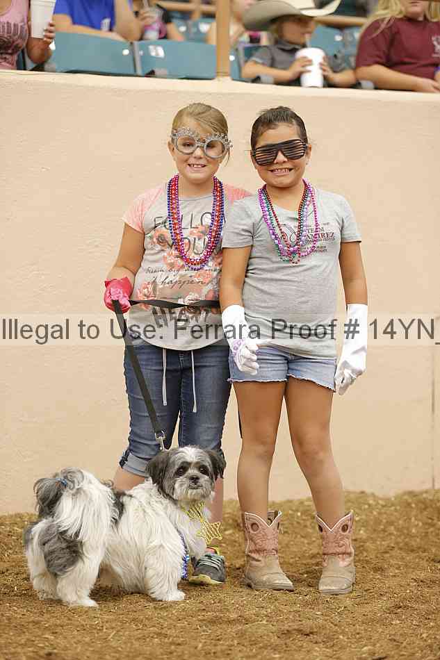 Proof 14yn_20816