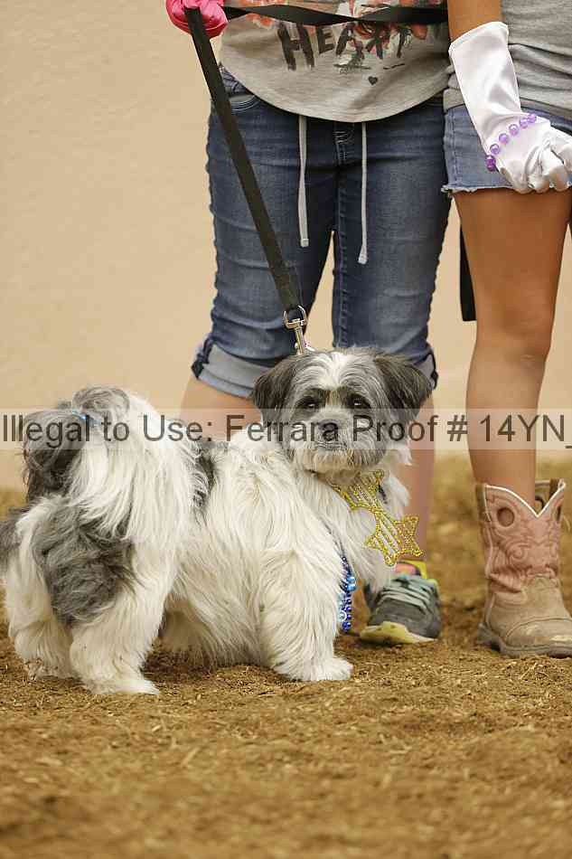 Proof 14yn_20819