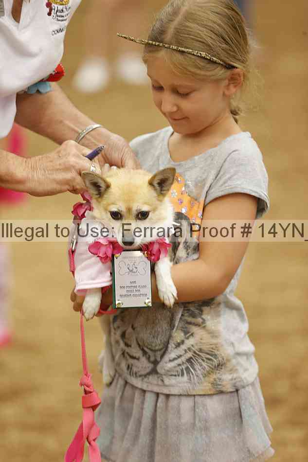 Proof 14yn_20845