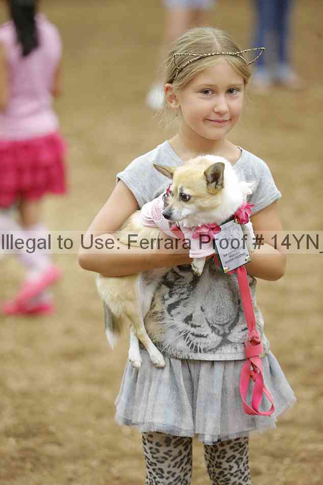 Proof 14yn_20848