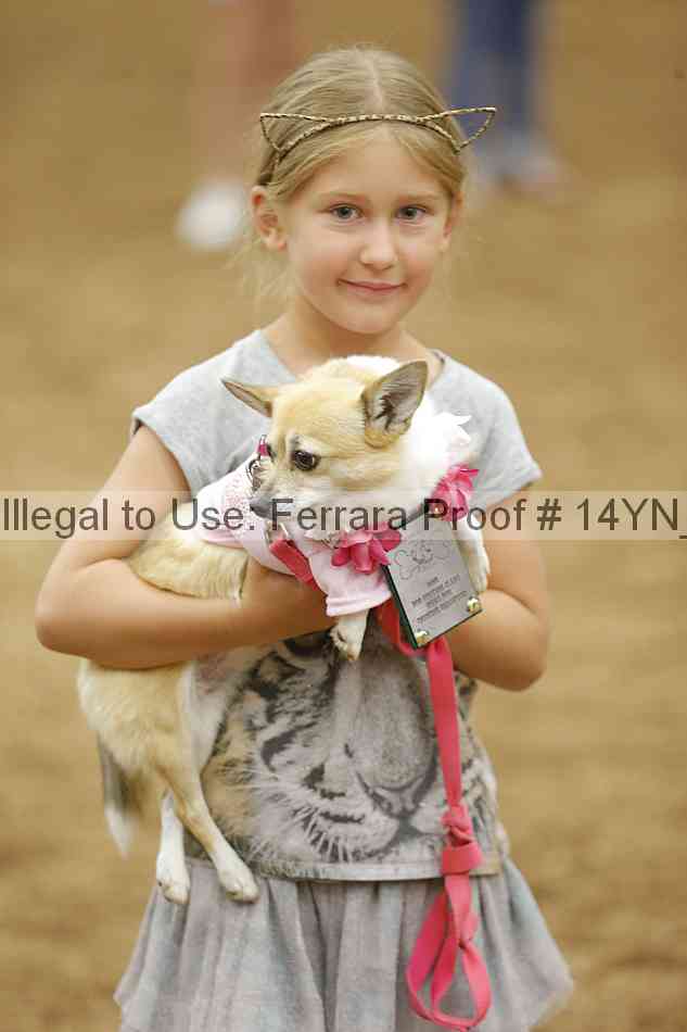 Proof 14yn_20849
