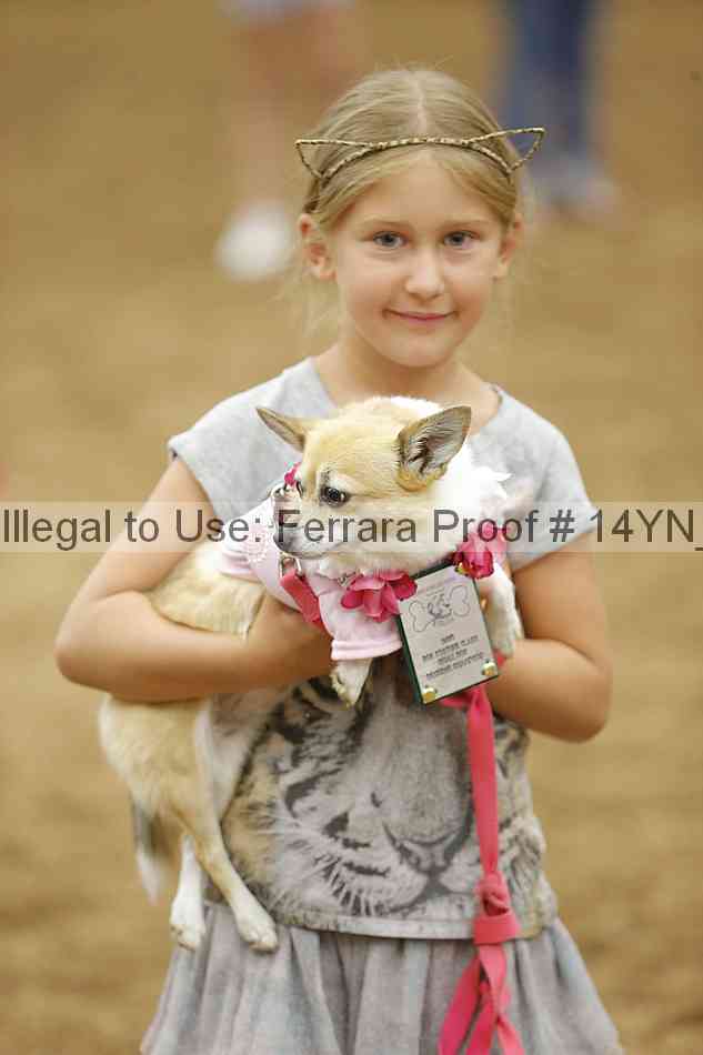 Proof 14yn_20850