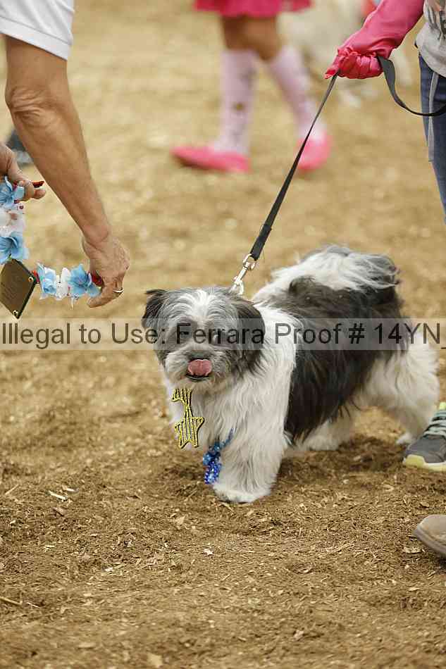 Proof 14yn_20851