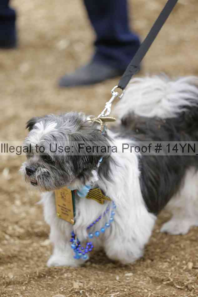 Proof 14yn_20854