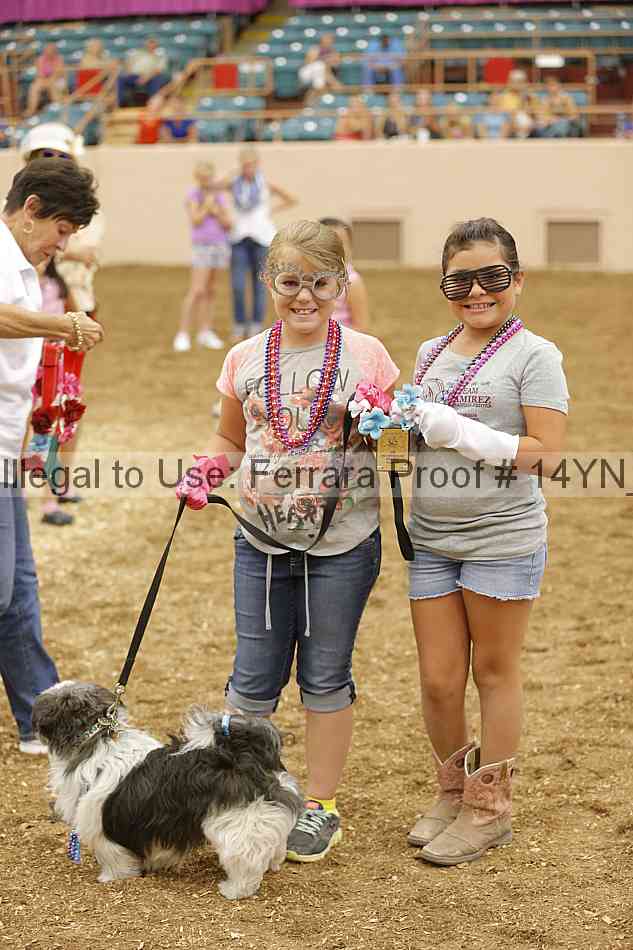 Proof 14yn_20855
