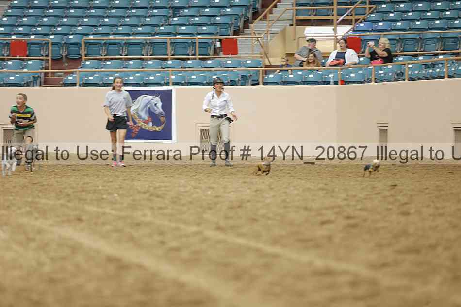 Proof 14yn_20867