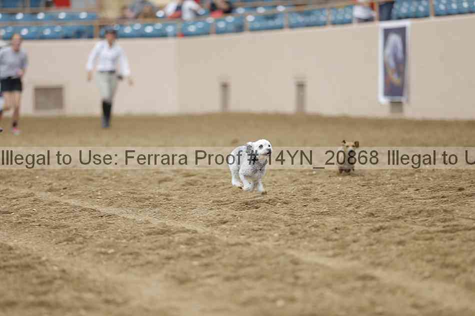 Proof 14yn_20868