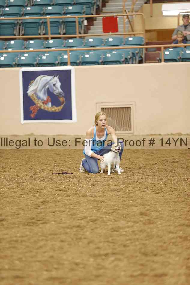 Proof 14yn_20878