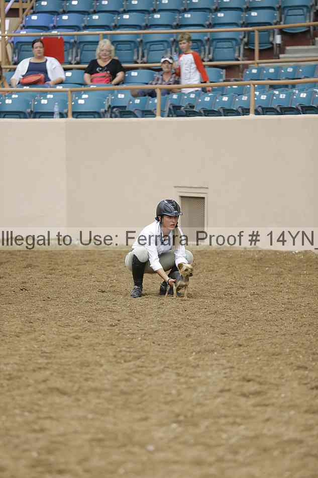 Proof 14yn_20879