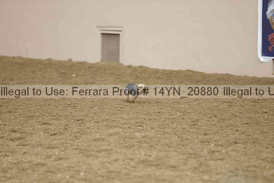 Proof 14yn_20880