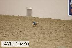 14yn_20880 proof