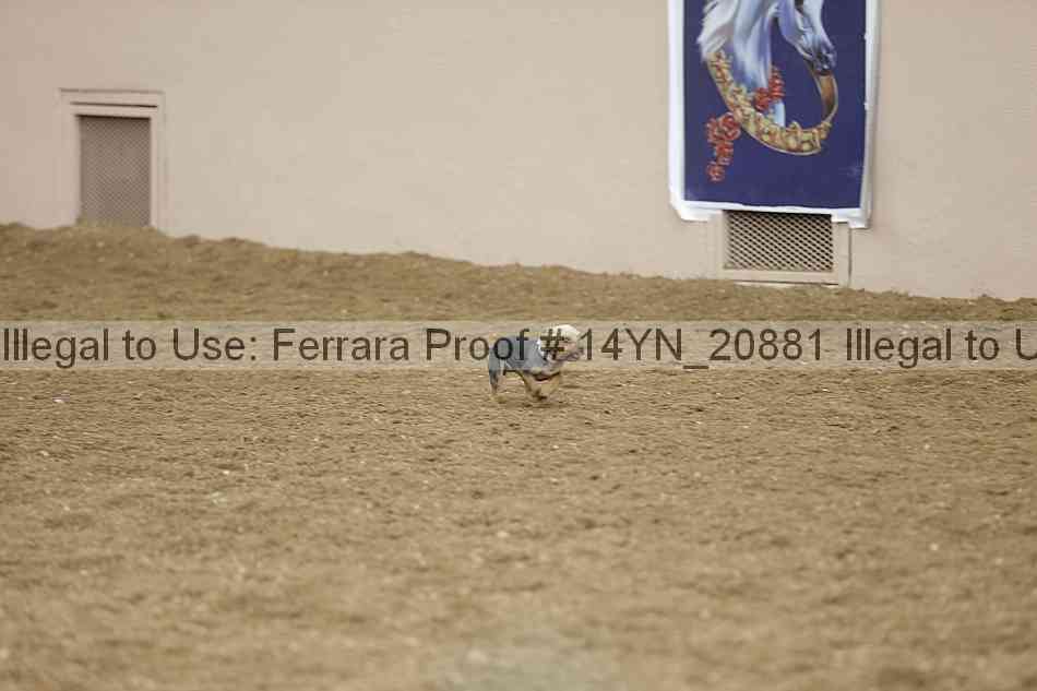 Proof 14yn_20881