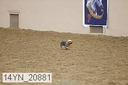 14yn_20881 proof