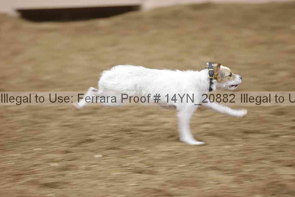 Proof 14yn_20882