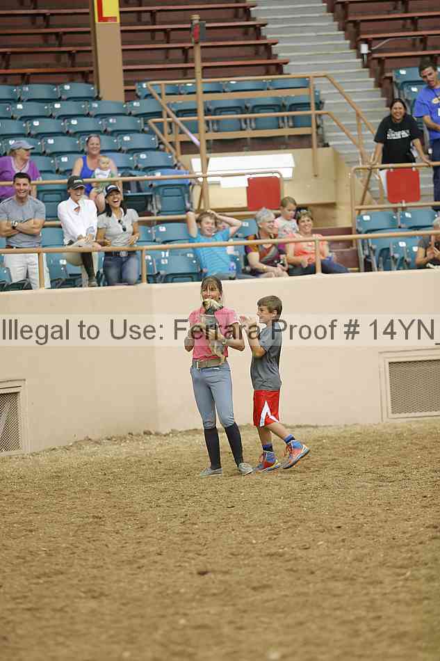 Proof 14yn_20884