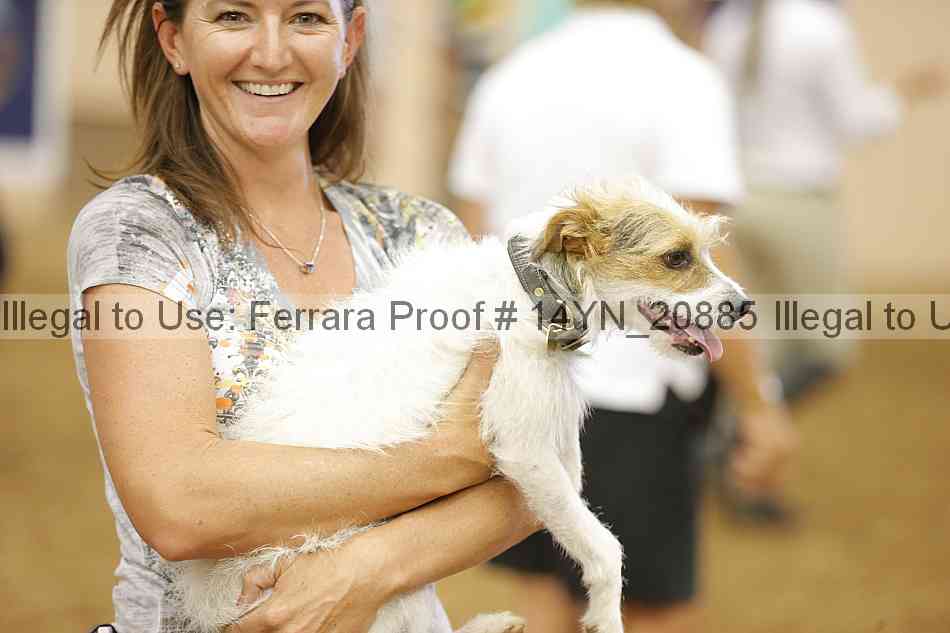 Proof 14yn_20885