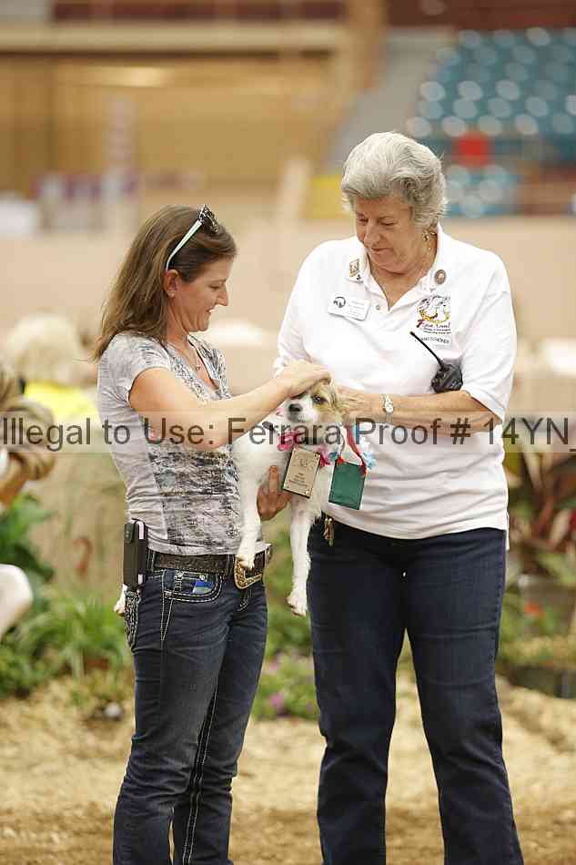Proof 14yn_20888