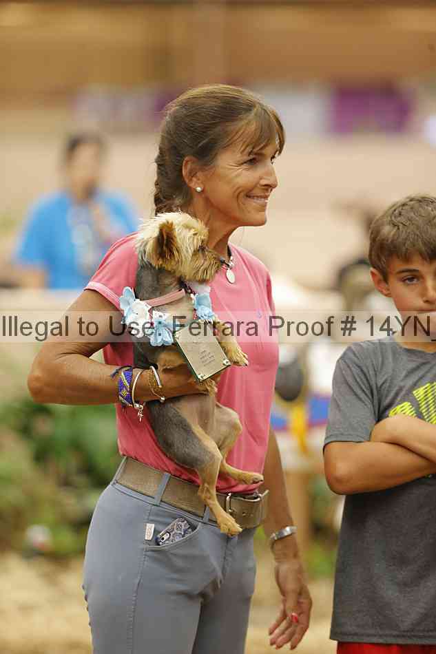 Proof 14yn_20895