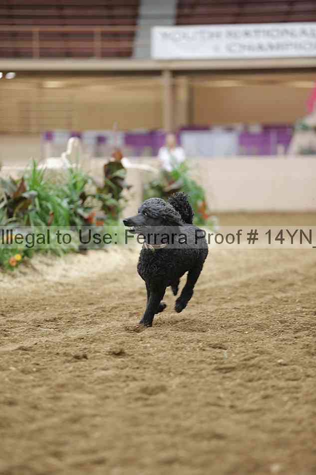 Proof 14yn_20898
