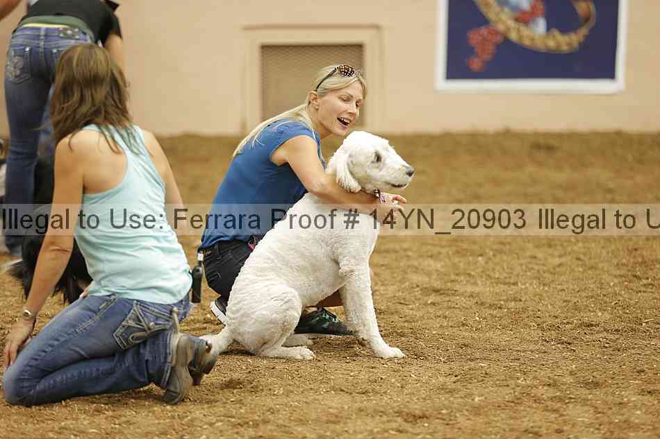 Proof 14yn_20903