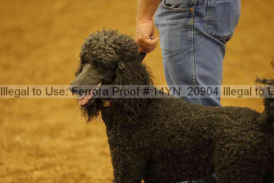 Proof 14yn_20904