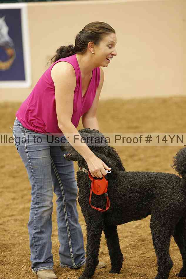 Proof 14yn_20907
