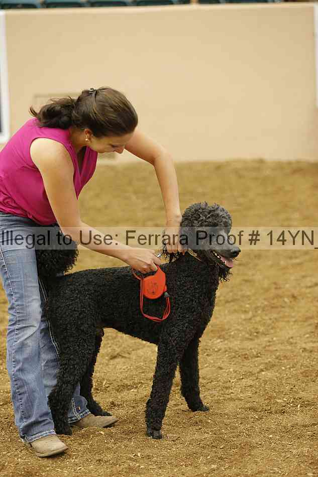 Proof 14yn_20908