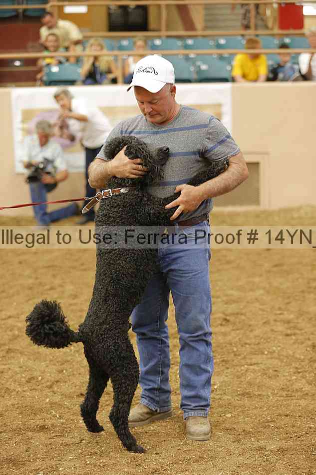 Proof 14yn_20910