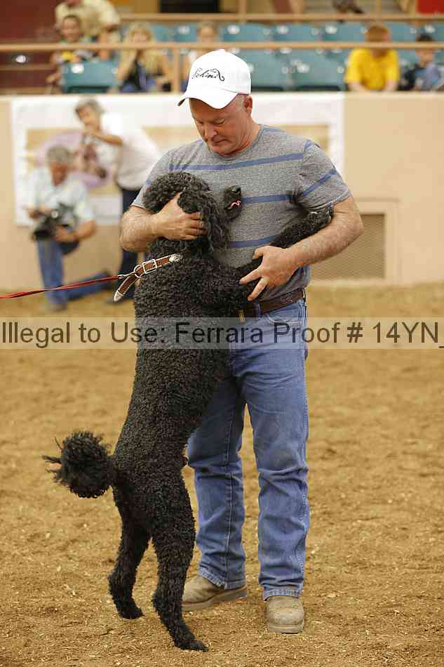 Proof 14yn_20911