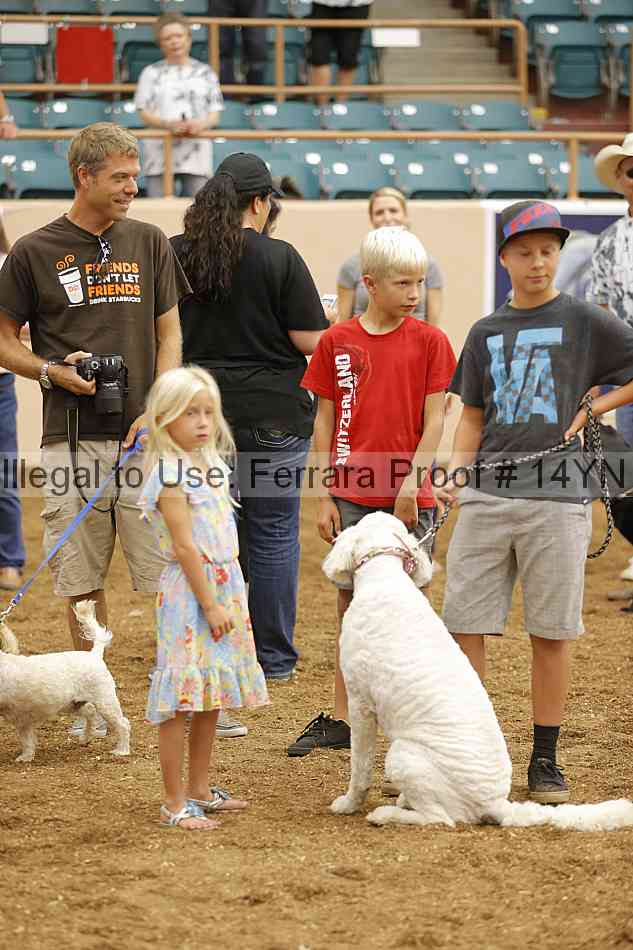 Proof 14yn_20913