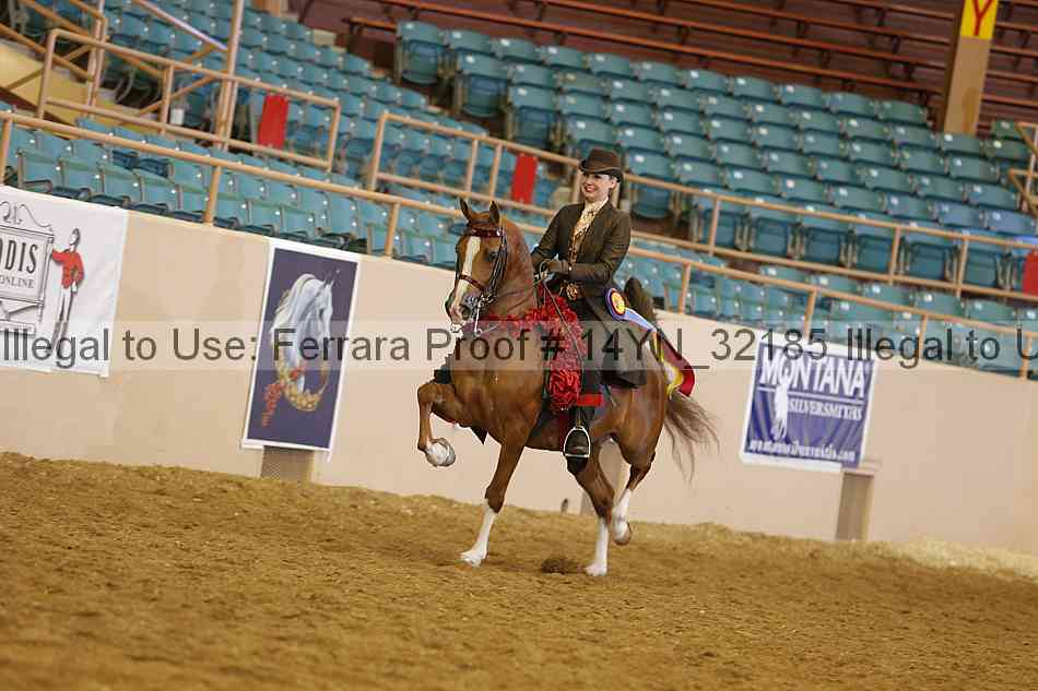 Proof 14yn_32185