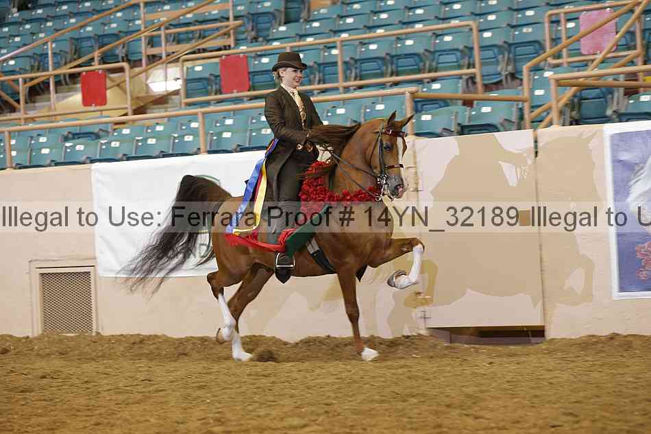 Proof 14yn_32189