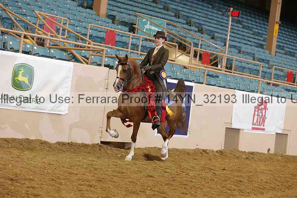 Proof 14yn_32193