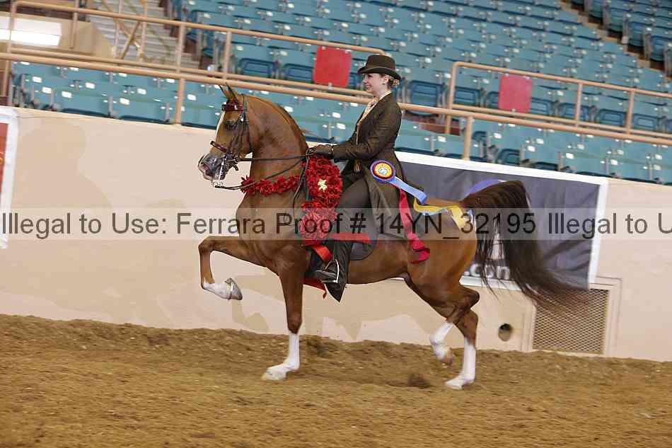 Proof 14yn_32195