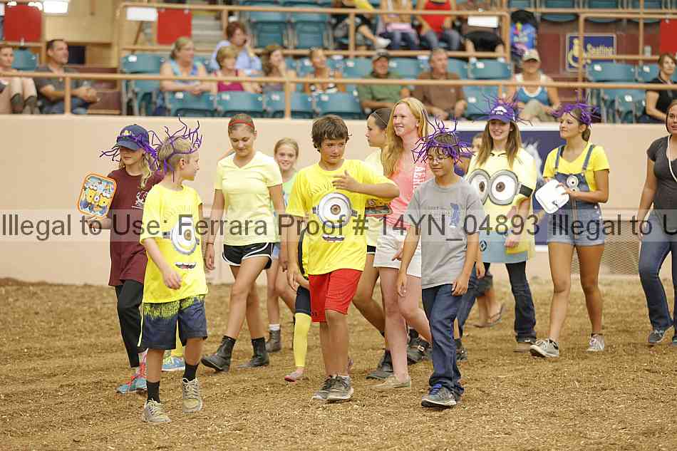 Proof 14yn_04893