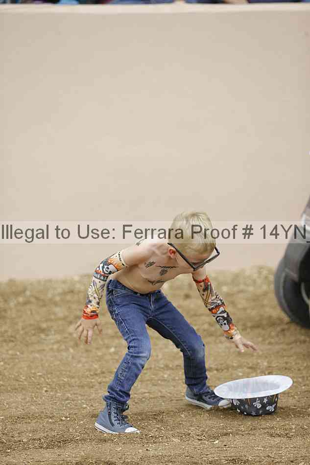 Proof 14yn_04906
