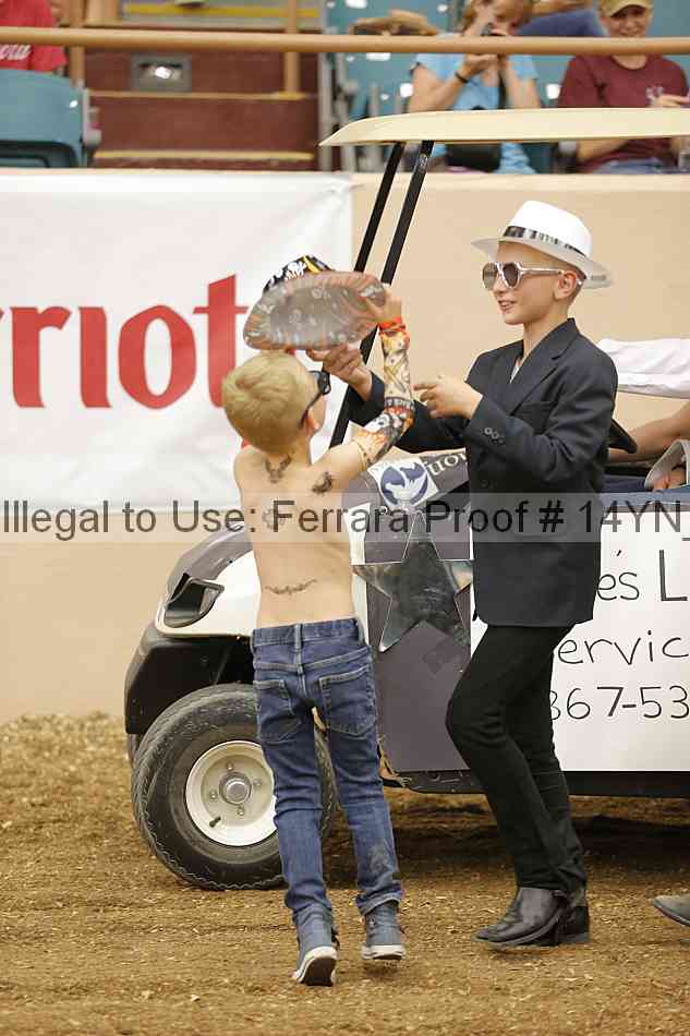Proof 14yn_04907