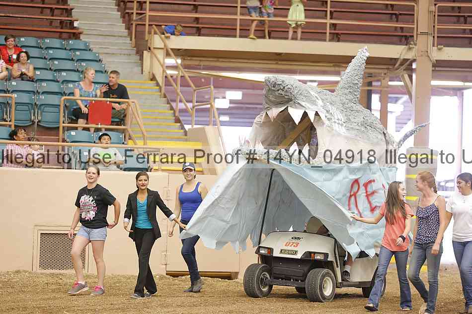 Proof 14yn_04918