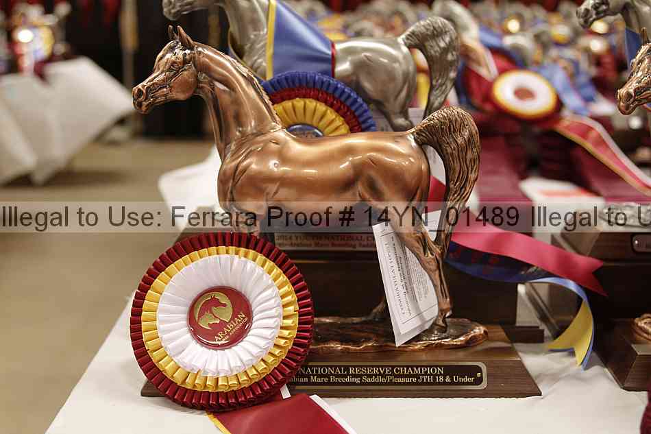 Proof 14yn_01489