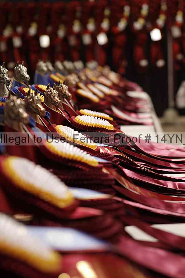 Proof 14yn_01507