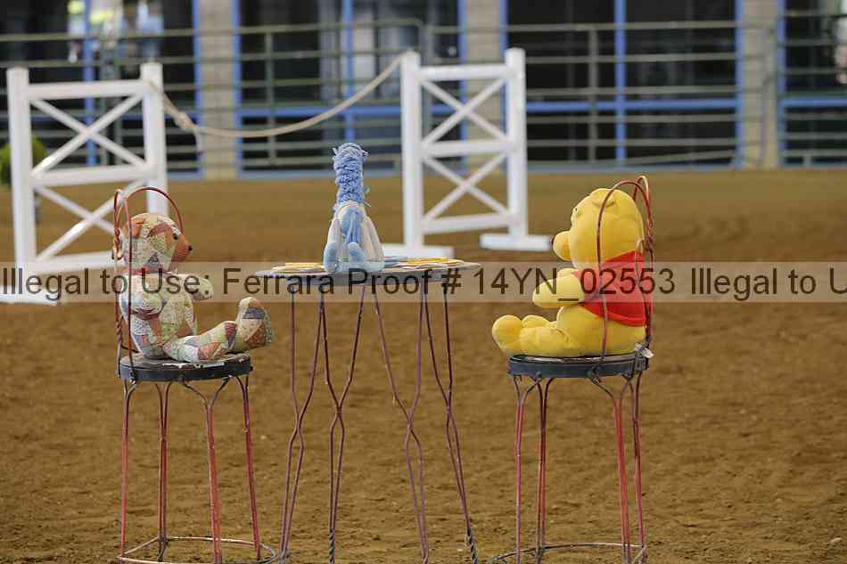 Proof 14yn_02553