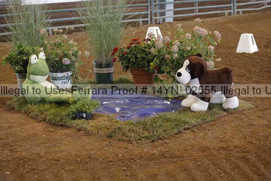 Proof 14yn_02555