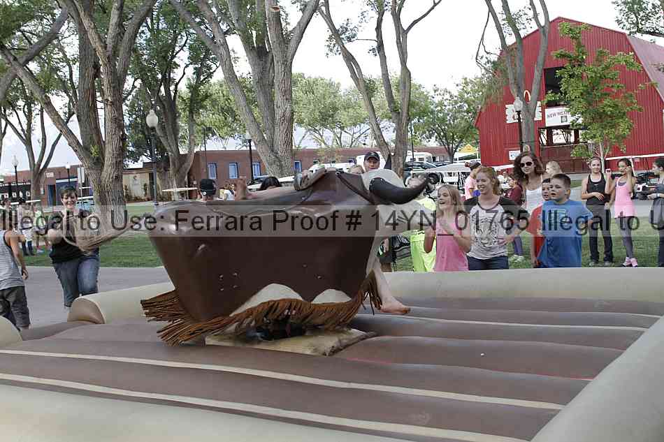 Proof 14yn_01765