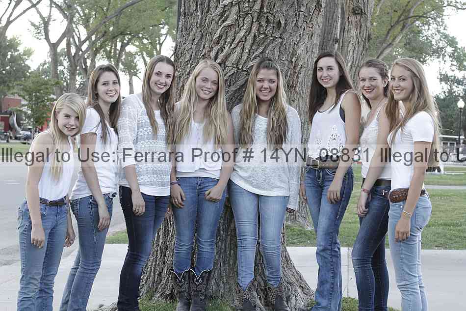 Proof 14yn_08831