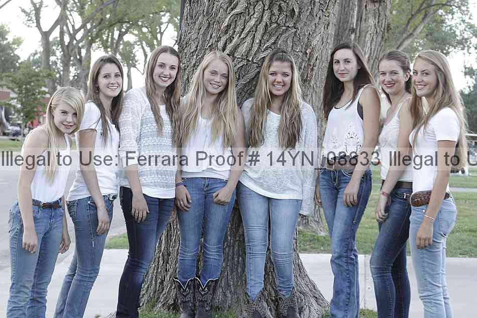 Proof 14yn_08833