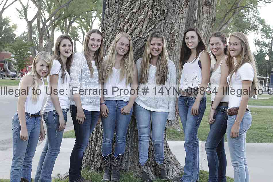Proof 14yn_08834